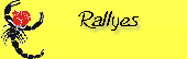 courses 2008 rallyes routiers